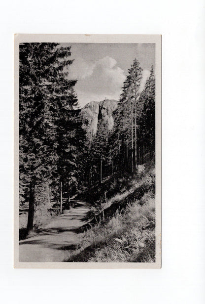 Ansichtskarte Der Falkenstein im Schmalwassergrund / Thüringen