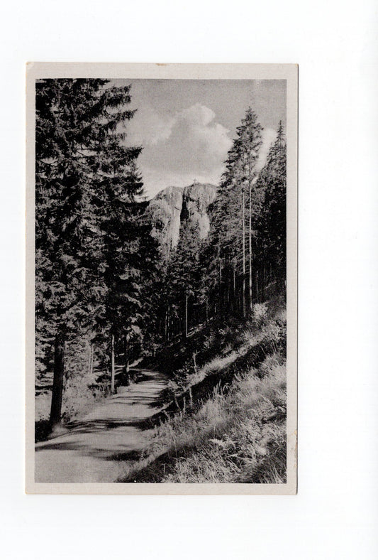 Ansichtskarte Der Falkenstein im Schmalwassergrund / Thüringen