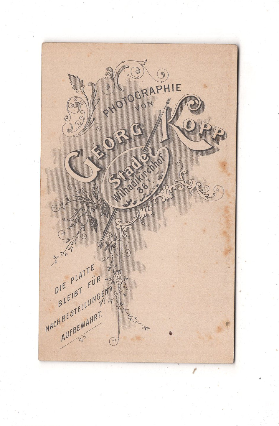 Fotografie Feiner Junge - Stade 1890er / CDV N1-06