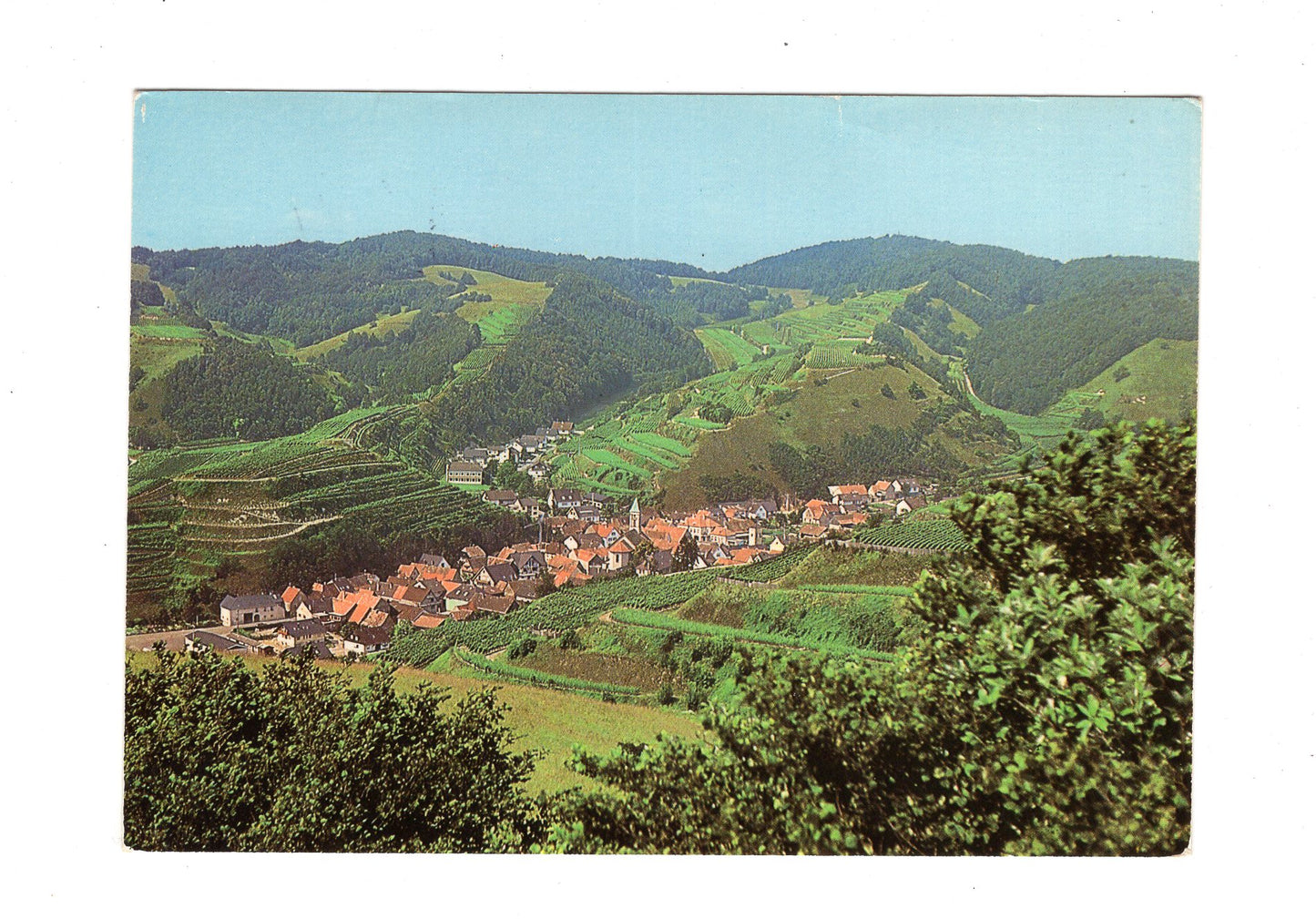 Ansichtskarte Vogtsburg im Kaiserstuhl / Schelingen