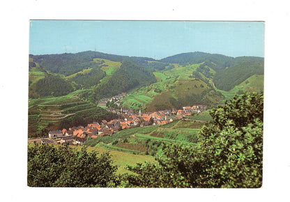 Ansichtskarte Vogtsburg im Kaiserstuhl / Schelingen