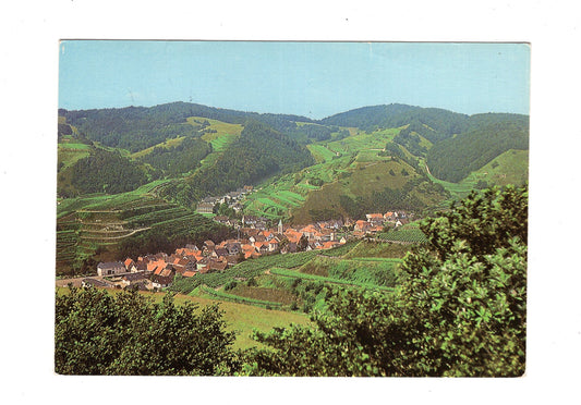 Ansichtskarte Vogtsburg im Kaiserstuhl / Schelingen