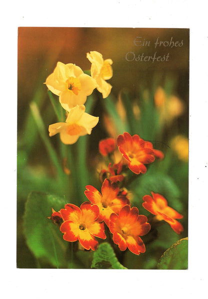 Ansichtskarte Feiertage / Frohe Ostern / L1-54