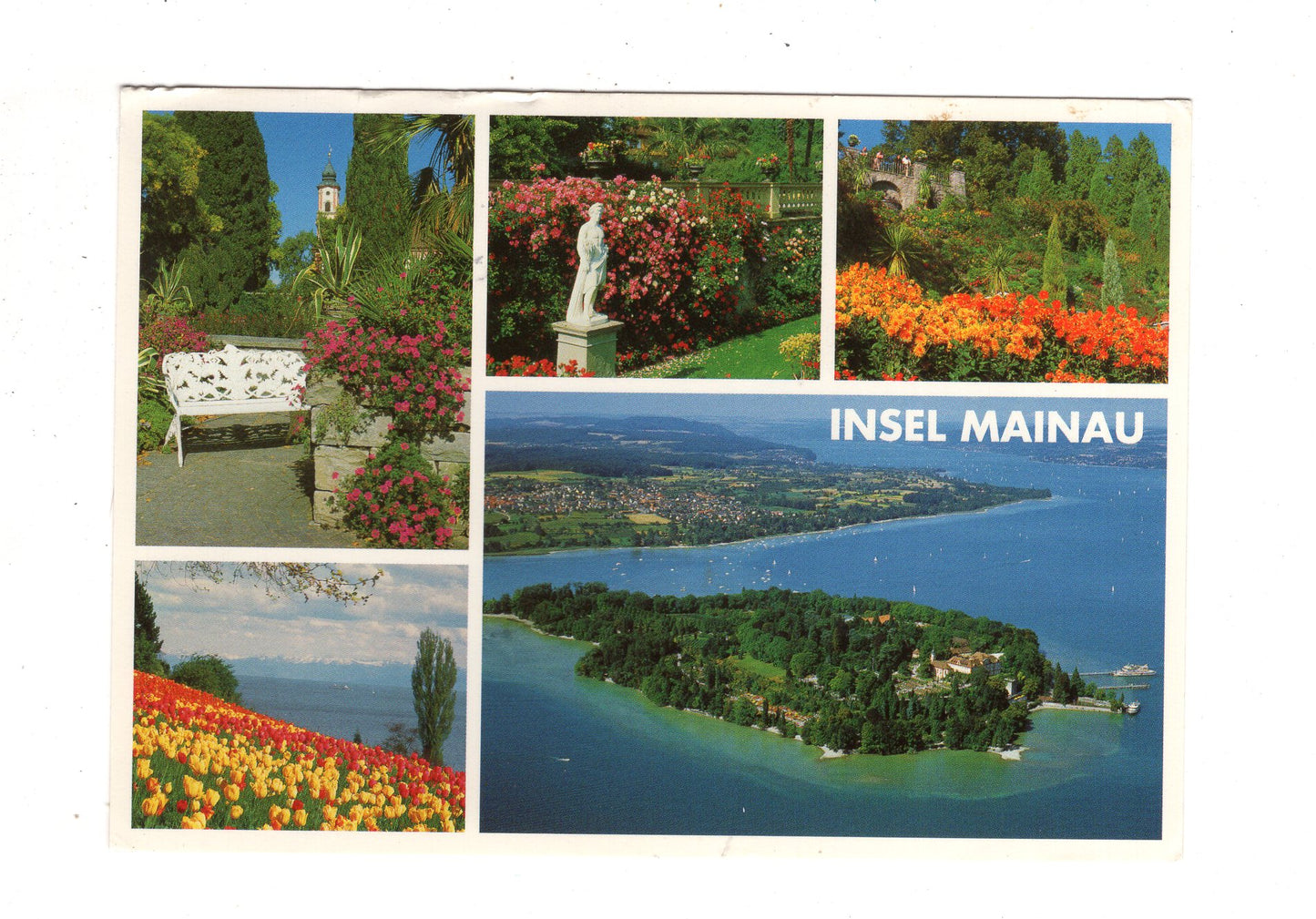 Ansichtskarte Insel Mainau im Bodensee / J1-64