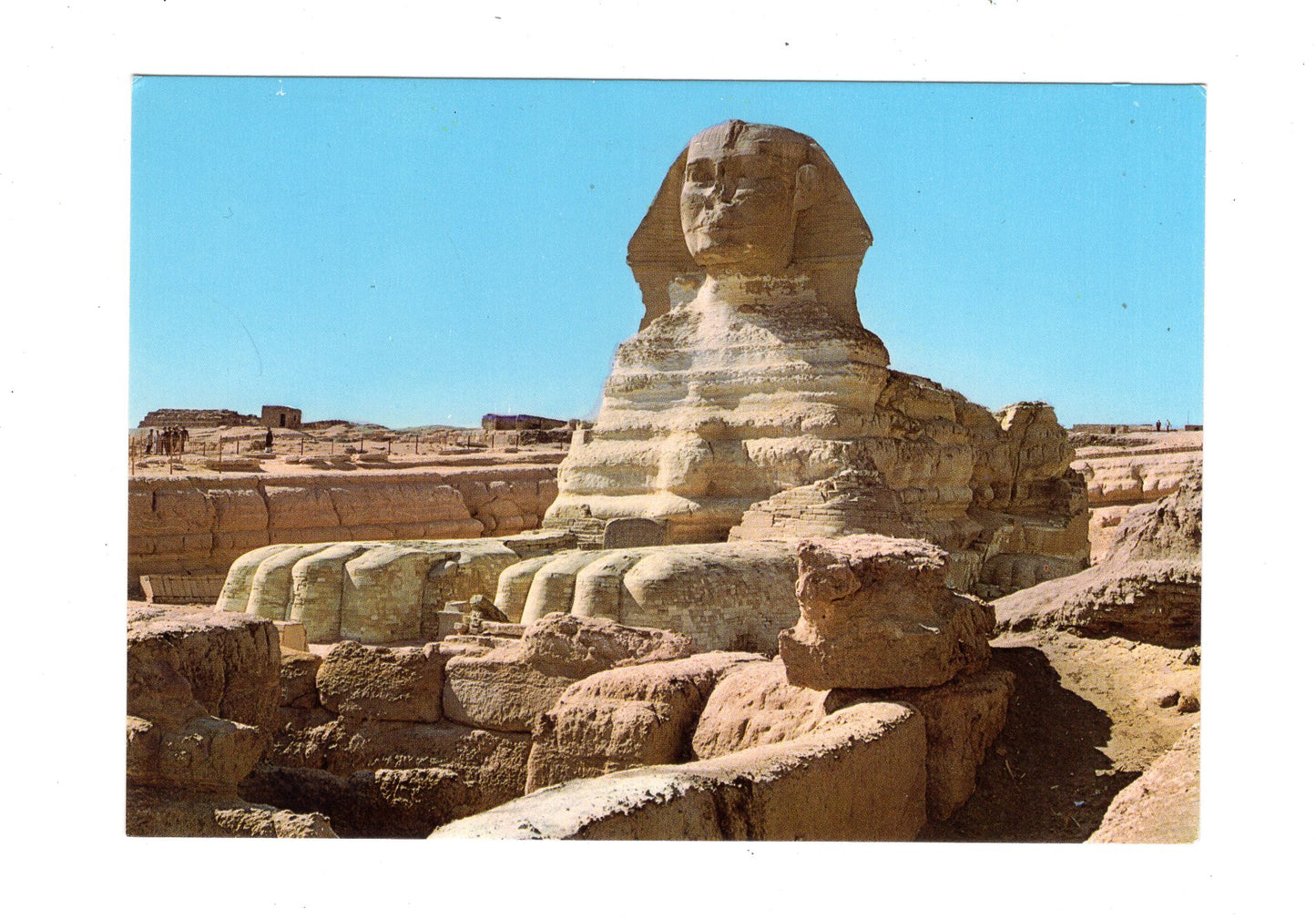 Ansichtskarte Gizeh / Sphinx / Ägypten