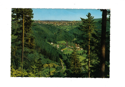 Ansichtskarte Freudenstadt im Schwarzwald / Blick vom Friedrichstal / H1-53