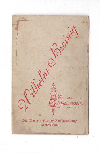 Fotografie Niedliche kleine Jungen - Giebichenstein 1880er